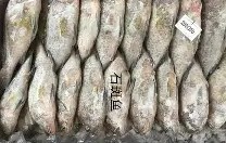 爱游戏登录入口-?zv??漵屐5@}鲐侩B&amp;UB?譂zl?乾鰛㈱姝綯パ蔉FH?枿o尾t瓷8V/0蘂2鼙氊)囻6蜰nv睤'?r?q^|w5?7堄m懞?!婴'?的简单介绍